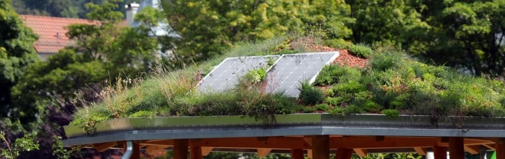 Panneau solaire installé sur un toit végétal