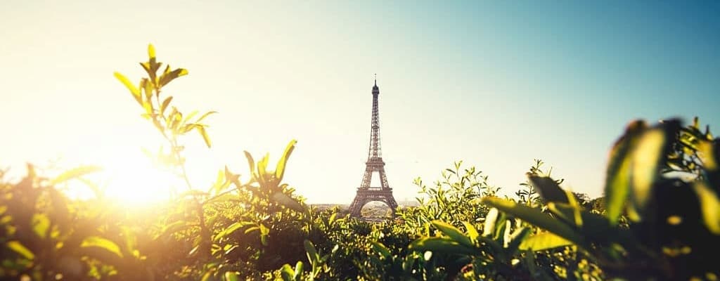 tour eiffel et nature