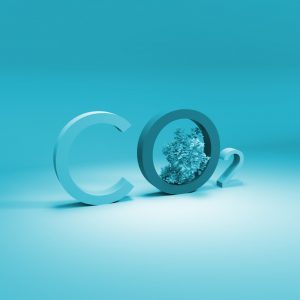 Neutralite carbone 1