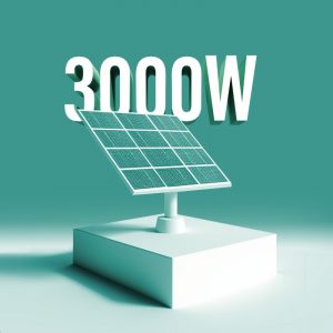 3000